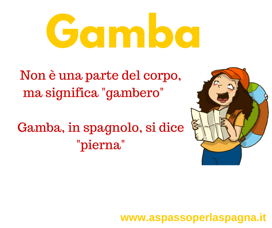 Falsos amigos - Gamba