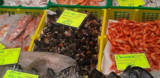 percebes galizia costo-aspassoperlaspagna