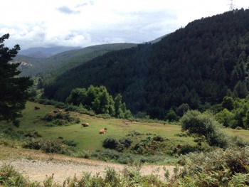 Natura Arboleda - aspassoperlaspagna.it