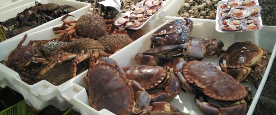 cosa mangiare in Galizia - necora centollo buey - aspassoperlaspagna.it