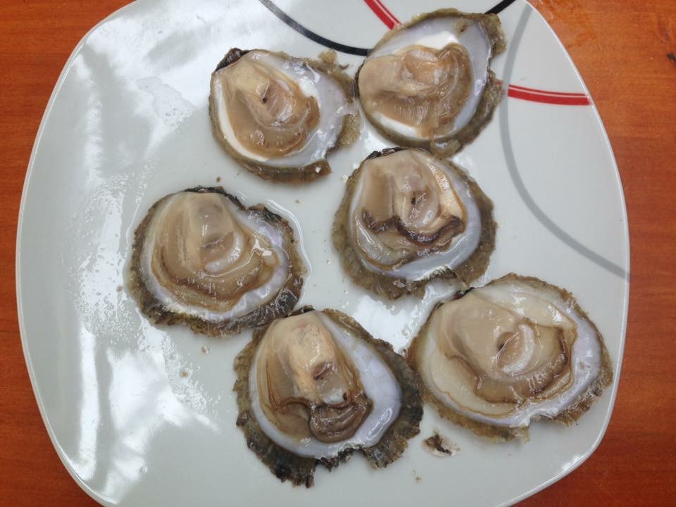 cosa mangiare in Galizia - ostras - aspassoperlaspagna.it