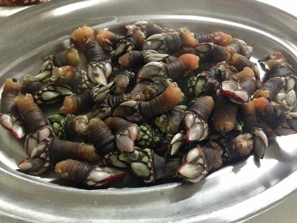 cosa mangiare in Galizia - percebes - aspassoperlaspagna.it