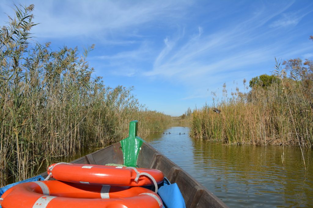 marjal - parco naturale albufera - aspassoperlaspagna.it